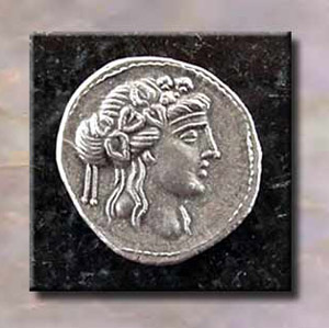 CharioteerDS19MMFront