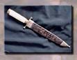 ArmsIvoryKnife1