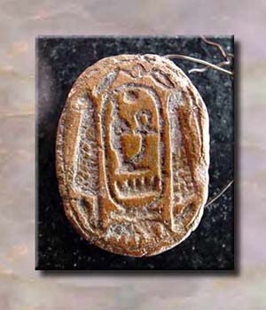 Scarab4ObDS