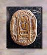 Scarab4ObDS